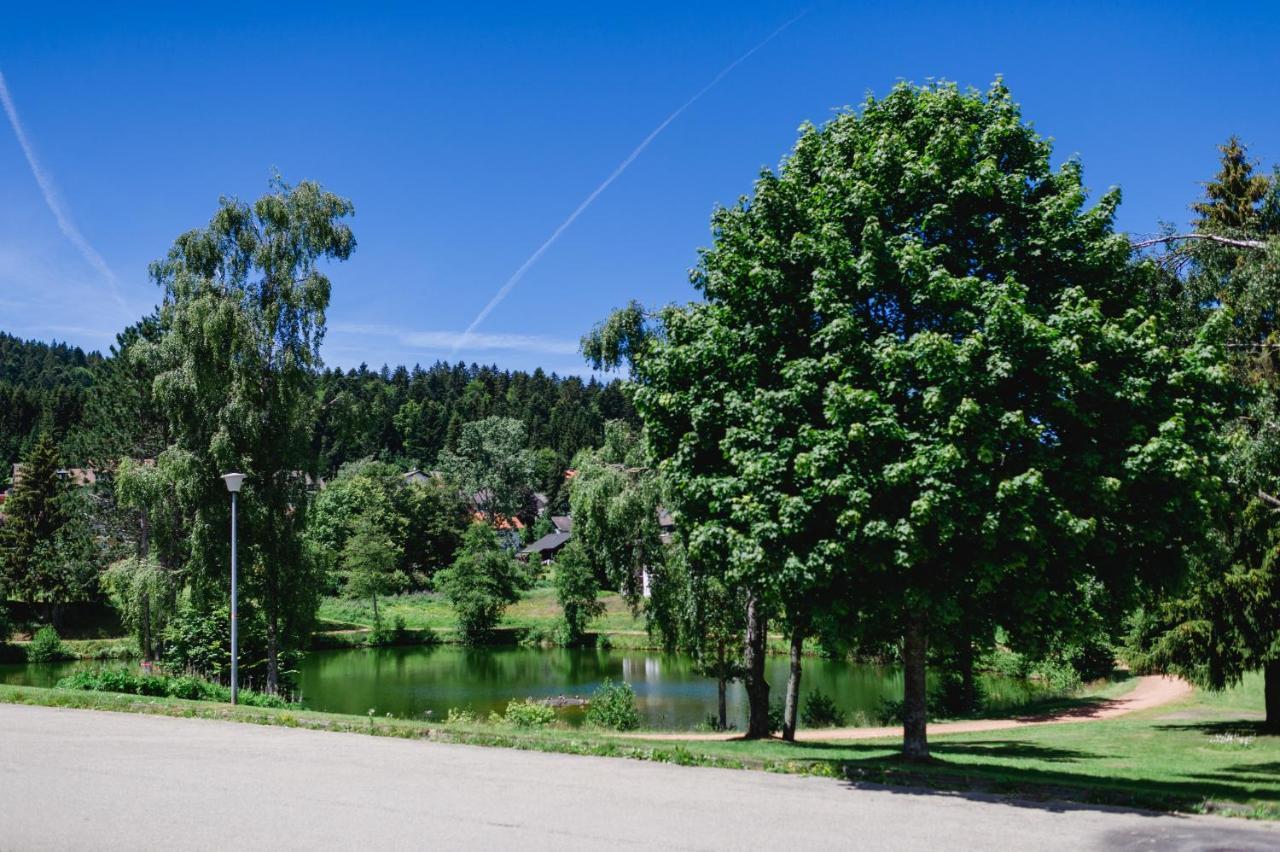 Ferienwohnung "Am Skilift" Herrischried Eksteriør bilde