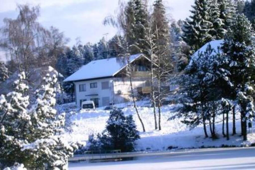 Ferienwohnung "Am Skilift" Herrischried Eksteriør bilde