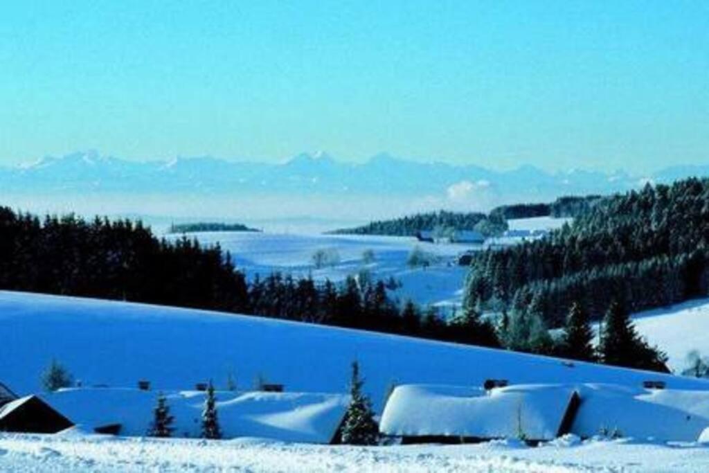Ferienwohnung "Am Skilift" Herrischried Eksteriør bilde